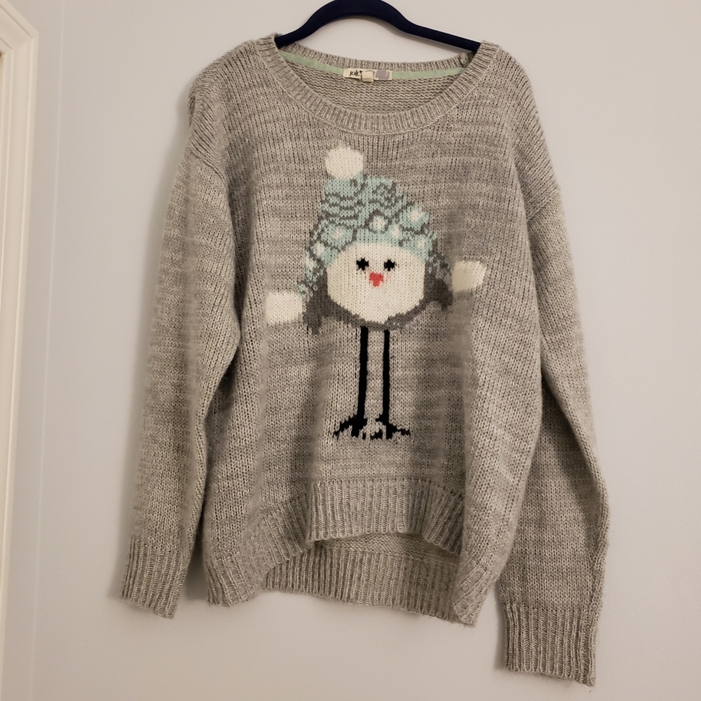 Grey bird in winter hat sweater